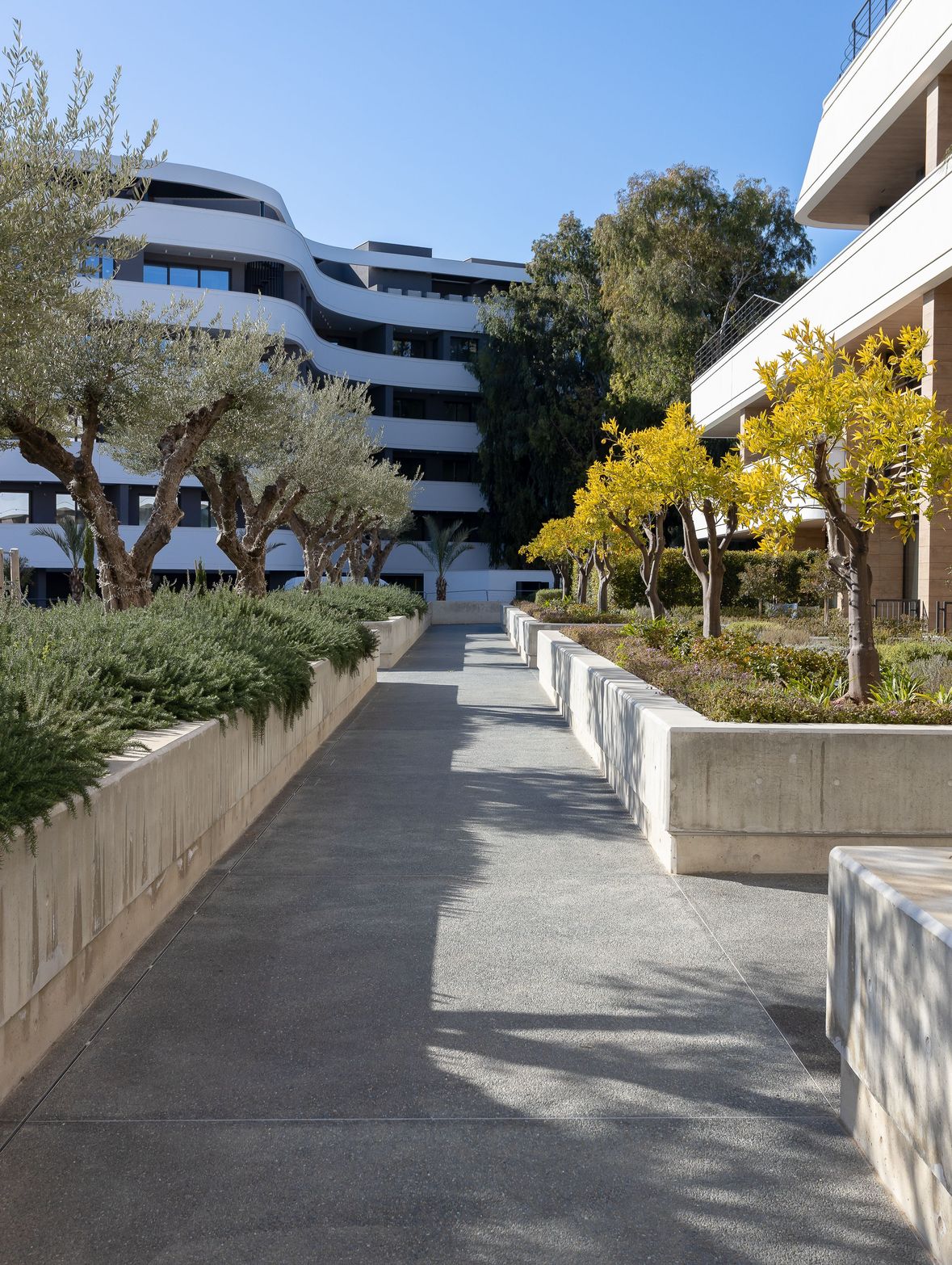 Modern building with curved balconies, pathways, green planters, and sunlit trees.